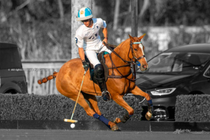 Dynamic movements in the polo pony: The power behind the game