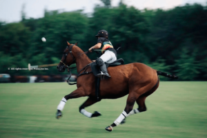 The essence of polo: The stirrups